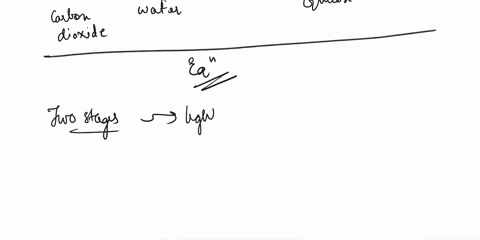 3-photosynthesis-is-broadly-comprised-of-two-stages-the-light-reactions-and-synthesis-reactions-what-are-the-reactants-and-products-of-each-stage-light-stage-reactants-products-synthesis-rea-88887