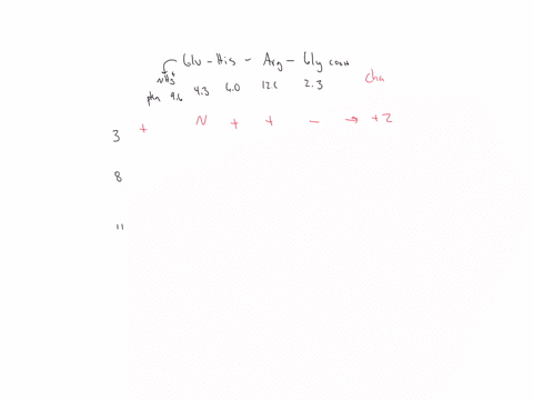 net-electric-charge-of-peptides-a-peptide-has-the-sequence-glu-his-trp-ser-gly-leu-arg-pro-gly-a-w-2-67762