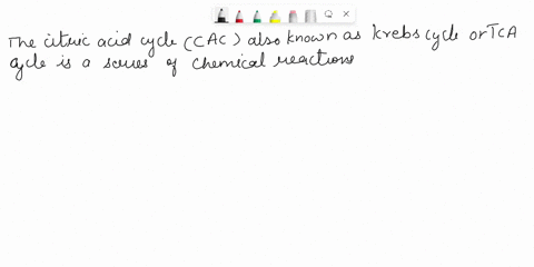 metabolic-pathways-and-energy-production-cac-how-man-when-acetyl-coa-completes-the-citric-acid-cyck-each-of-the-following-are-produced-nadh-fadh-coz-gtp-atp-how-many-reaciont-the-titric-acid-73594