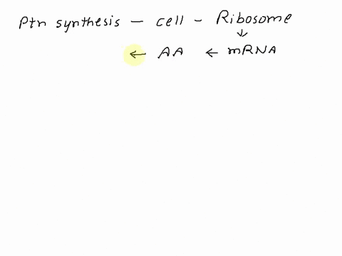 question-17-1-pts-the-sites-of-cellular-protein-synthesis-are-the-mitochondria-true-false-31153