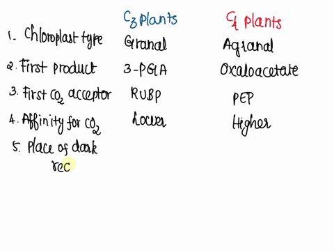 q1-compare-between-c3-and-c4-plants-according-to-following-chloroplast-type-first-product-first-co2-acceptor-a-ffinity-for-co2-place-of-dark-reaction-presence-of-peripheral-reticulum-in-chlo-61062