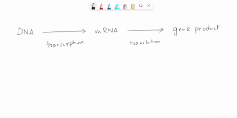 rna-transfers-the-dna-code-from-the______-of-the-cell-to-the_____-04463