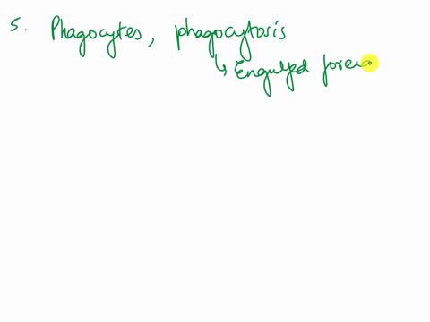 in-the-discovery-penicillin-how-did-a-petri-dish-full-of-staph-bacteria-change-in-the-presence-of-bread-mold-fungus-what-did-alexander-fleming-observe-and-what-caused-the-phenomenon-once-pen-15782