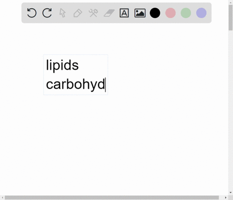 which-of-the-following-are-macromolecules-a-water-b-carbon-c-lipids-d-carbohydrates-e-nucleic-acids-f-proteins-g-nucleotides-h-fatty-acids-12039