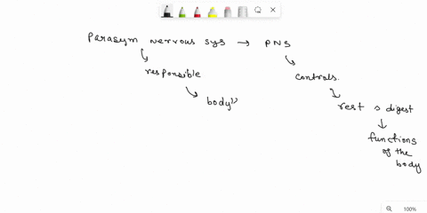 explain-the-functions-of-the-sympathetic-and-parasymapthetic-nervous-sysystemsyour-answer-will-explain-why-the-parasympathetic-nervous-system-is-called-the-couch-potato-system-while-the-symp-57015