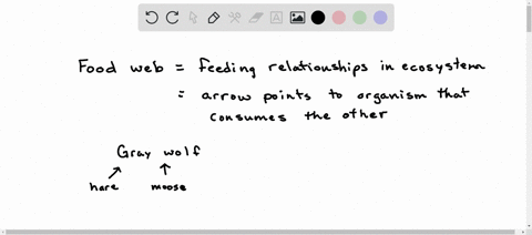 what-would-most-likely-happen-to-this-ecosystem-if-all-of-the-gray-wolves-were-removed-pretest-unit-3-secondary-consumers-giay-wol-romcn-dehinvore-red-lox-primary-consumcrs-snowihoc-red-squi-16558