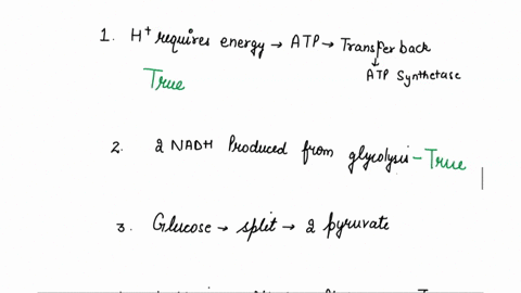 1-the-h-require-energy-from-atp-to-be-transported-back-into-the-matrix-by-atp-synthase-true-or-false-2-2-nadh-are-produced-from-glycolysis-true-or-false-3-glucose-is-split-into-two-molecules-47771