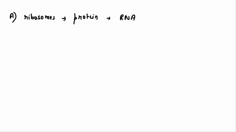 which-of-the-following-organelles-function-in-the-synthesis-of-proteins-a-ribosomes-bnucleolus-c-rough-er-d-both-ab-eboth-ac-39806
