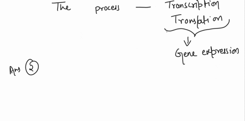 inbroduction-from-the-previous-lab-you-have-successfully-made-escherichia-coli-t0-pick-up-the-pglo-plasmid-through-the-process-of-transformation-and-you-bave-fluorescent-protein-gfp-from-pgl-90663