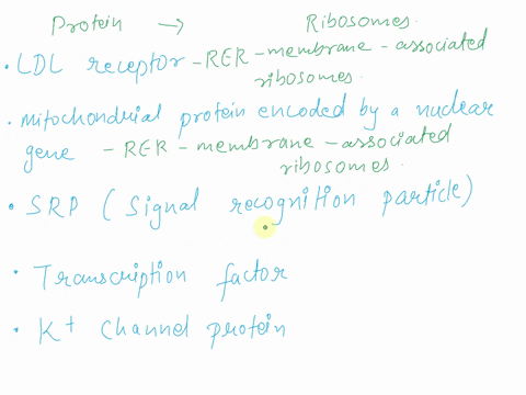 drag-and-drop-each-type-of-protein-into-the-correct-categoryis-it-synthesized-on-free-ribosomes-or-rer-membrane-associated-ribosomes-free-cytosolic-ribosomes-rer-membrane-associated-cytosoli-15318