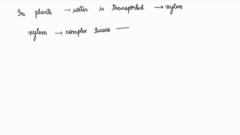 in-plants-water-is-transported-through-a-xylem-b-phloem-c-stomata-d-root-hair-29815