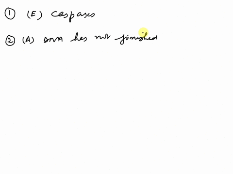 cyclins-mus-preseni-certain-stabes-aanance-the-next-5tage-17-which-of-the-following-involved-regulation-of-the-cell-cycle-cyclins-internal-and-external-signals-browth-e-hacron-check-points-c-65101