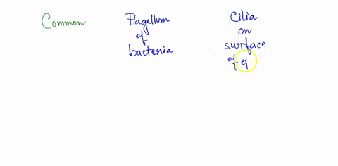what-do-bacterial-flagellum-and-cilia-on-the-surface-of-epithelial-cells-have-in-common-select-one-they-are-produced-from-microfilaments-b-they-are-both-produced-from-microtubules-they-both-34409