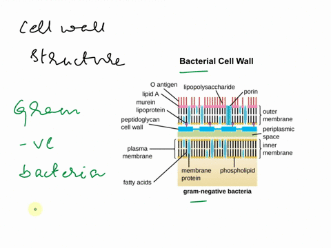 9-8-found-in-structure-wall-9-l-the-following-9-91701