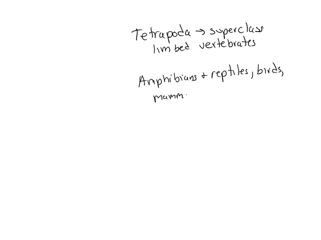 SOLVED: A Tetrapod Is A. An Animal With Two Fins. B. An Animal With ...