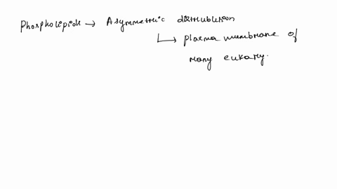 are-the-various-phospholipids-randomly-distributed-in-membranes-give-an-example-3-40397