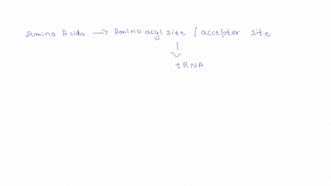 20-which-best-describes-the-process-of-adding-an-amino-acid-aa-during-protein-synthesis-a-the-protein-chain-in-the-a-site-is-transferred-to-the-single-aa-in-the-p-site-b-the-protein-chain-in-67028