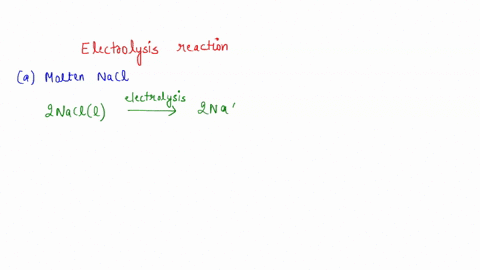 why-are-different-products-obtained-when-molten-nacl-and-aqueous-nacl-are-electrolyzed-predict-the-products-in-each-case-16203
