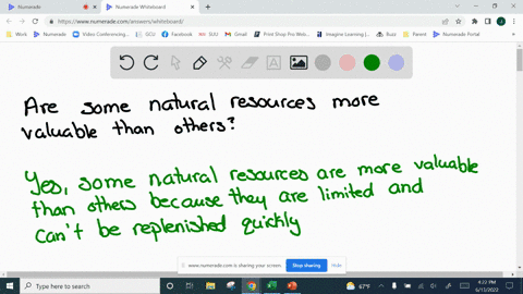 are-some-natural-resources-more-valuable-than-others-76305
