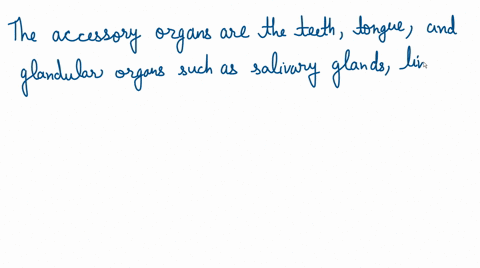 these-are-all-accessory-organs-for-digestion-except-select-one-a-liver-b-pancreas-c-gallblader-d-appendix-previous-page-71035