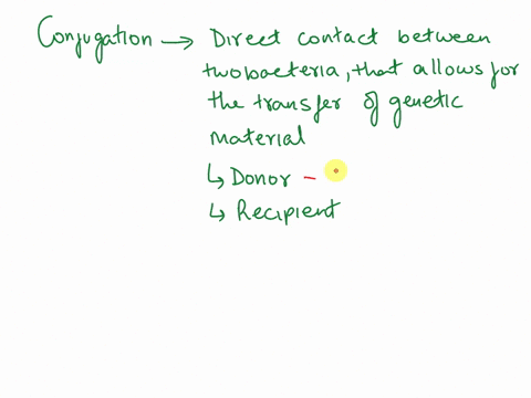 4-what-is-conjugation-and-what-is-its-significance-2