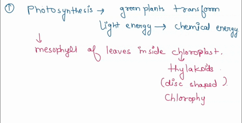 part-3-leaf-structure-in-what-plant-structures-does-photosunthesis-occur-make-vour-description-a5-specific-35-you-can-on-diagram-3-complete-the-ollowlng-tosks-draw-how-coa-ets-into-diegcom-t-60368