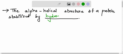 the-alpha-helical-structure-of-a-protein-is-stabilized-by______-disulfide-bridges-hydrogen-bonding-between-the-amino-acid-side-chain-atoms-peptide-linkages-that-covalently-bind-the-amino-aci-17488