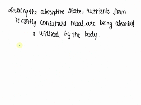 this-occurs-during-the-absorptive-state-select-one-as-glycogen-is-depleted-fats-are-used-as-an-energy-source-o-a-ob-fatty-acids-are-converted-to-acetyl-coa-oc-excess-glucose-is-converted-int-81857