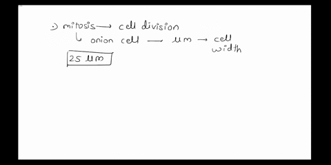 below-ar3-onion-cell-unxdlergoing-mitosis-what-istke-width-cf-a-typical-onion-cell-in-im-400x-astudlent-is-obsurving-tle-lutter-under-tha-microscopu-how-tal-i-thie-letor-1oox-mot-06239