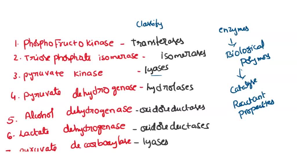 SOLVED To which class of enzymes does each of the following belong? 1