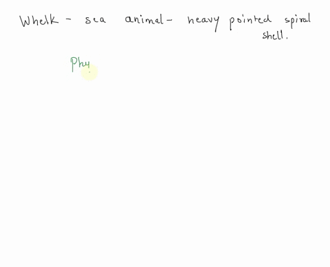 vi-phylum-whelz-whelk-shell-the-whelk-is-a-mollusk-1-is-it-a-univalve-bivalve-0r-a-cephalopod-2-how-do-whelks-breathe-72698