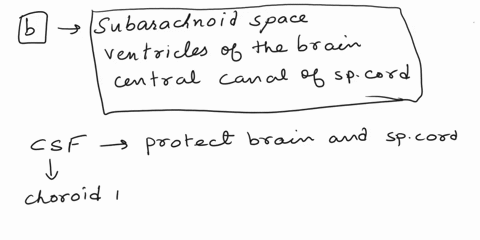 the-cerebrospinal-fluid-csf-is-present-in-all-of-the-following-places-c-62-select-one-a-subarachnoid-space-grev-matter-white-matter-of-the-brain-b-subarachnoid-space-ventricles-of-the-brain-14087