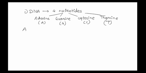 the-dna-of-an-organism-is-studied-and-found-to-thymine-and-guanine-contain-32-adenine-this-organism-shouid-have-in-its-dna_-32-68-68-32-32-18-18-18-18-32-35894