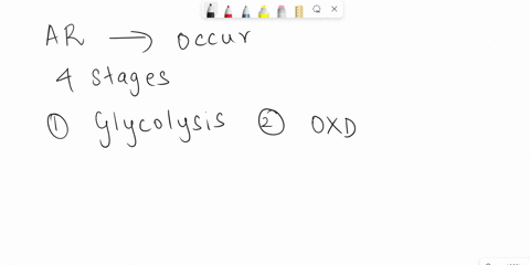 which-of-the-following-pathways-produces-of-the-majority-of-atp-multiple-choice-a-citric-acid-cycle-b-preparatory-reaction-prep-c-glycolysis-d-electron-transport-chain-e-calvin-cycle-29367