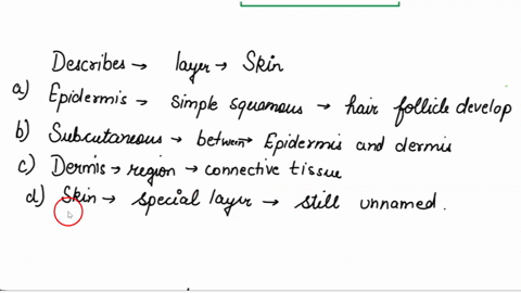 which-of-these-correctly-describes-a-layer-of-the-skin-a-the-epidermis-is-simple-squamous-epitheli-2-34364