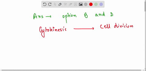 cytokinesis-in-animal-cells-involves-a-alignment-of-the-spindle-along-the-equatorial-plane-b-formation-of-a-cleavage-furrow-c-pinching-in-the-original-cell-wall-to-produce-a-new-cell-wall-be-27849