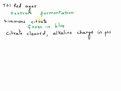 test-describe-what-the-test-result-looks-like-interpretation-what-does-the-result-mean-you-must-write-more-than-just-positive-or-negative-tsi-red-agar-simmons-citrate-citrate-cleaved-alkalin-91764