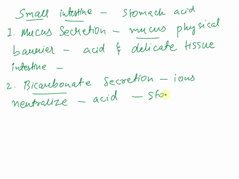 how-the-small-intestine-is-protected-from-theerosive-effect-of-stomach-acid-27229