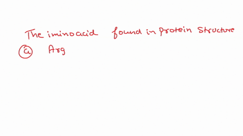the-imino-acid-found-in-protein-structurea-arginine-b-proline-c-histidine-d-lysine-17006