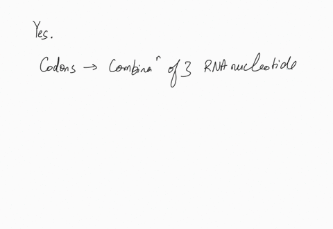 are-there-codons-that-do-not-code-for-amino-acids-what-are-they-42649