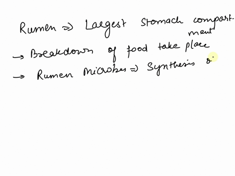 which-of-the-following-statements-is-false-regarding-the-rumen-and-ruminant-animals-a-the-rumen-is-a-large-oxic-aerobic-chamber-having-an-extended-retention-time-for-food-b-rumen-microbes-sy-52702