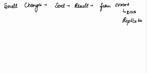 what-can-result-in-a-point-mutation-in-cells-that-are-produced-by-mitosis-or-meiosis-an-error-during-dna-replication-an-error-in-proofreading-processes-an-error-in-translation-the-process-of-38895