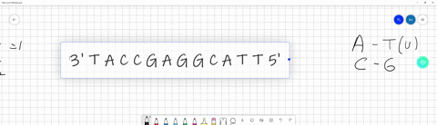 given-the-dna-sequence-3-t-a-c-c-g-a-g-g-c-a-t-t-5-what-is-the-transcribed-mrna-sequence-94947