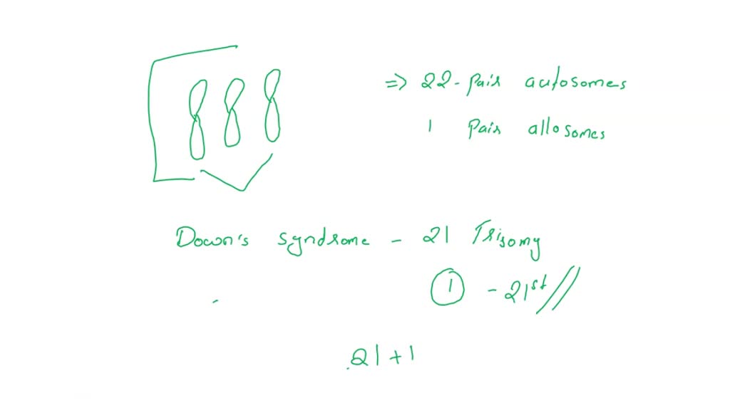 SOLVED Diagnosis Down Syndrome Down Syndrome Turner Syndrome Klinefelter Syndrome XYY