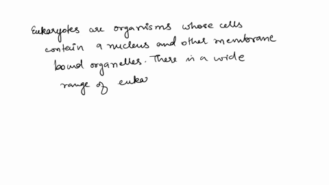 which-of-the-following-groups-of-organisms-uses-cellular-respiration-in-mitochondria-to-produce-atp-for-their-energy-needs-08245
