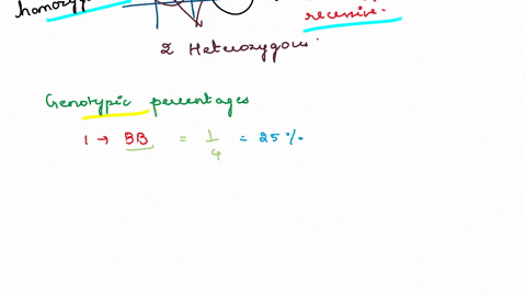 monohybrid-practice-problems-for-each-of-the-following-show-the-punnett-square-and-give-the-genotype-and-phenotype-for-each-on-your-own-paperl-in-human-brown-eyes-are-dominant-over-blue-eyes-44472