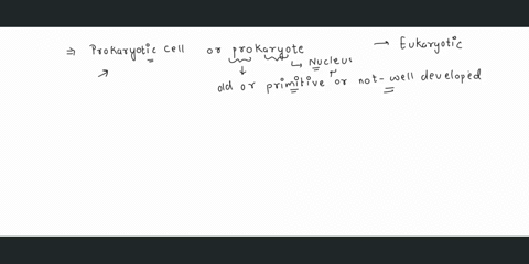 which-of-the-following-structures-would-you-be-able-to-find-in-a-prokaryote-choose-all-that-appl-endoplasmic-reticulum-cell-membrane-lysosome-mitochondria-nucleus-chromosome-ribosome-55317