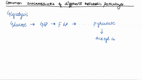 name-some-of-the-key-metabolic-intermediates-that-are-seen-in-more-than-one-pathway-2-53936
