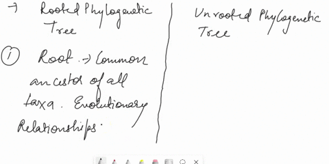 a-what-the-difference-between-rooted-phylogenetic-tree-and-an-unrooted-phylogenetic-tree-b-in-the-phylogenetic-tree-below-which-taxon-is-the-outgroup-hobatau-lebbonal-ponod-ahali-bnoa-lorto-17445