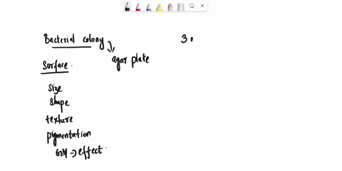 1-list-and-define-the-three-morphological-characteristics-commonly-used-to-describe-colonies-96917